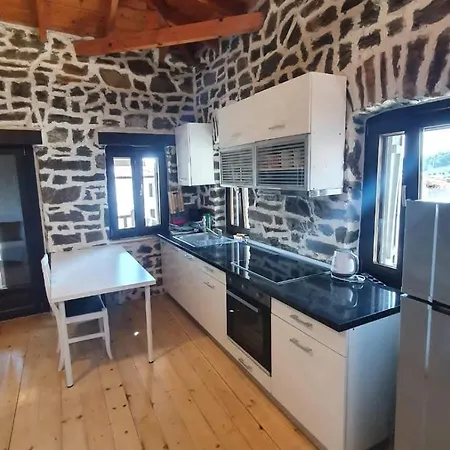 Lara's House